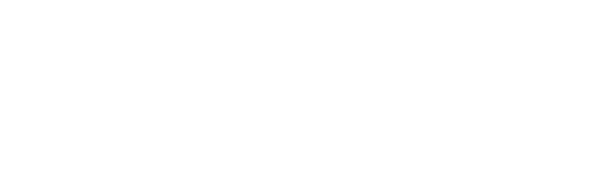 Memoria Infinita